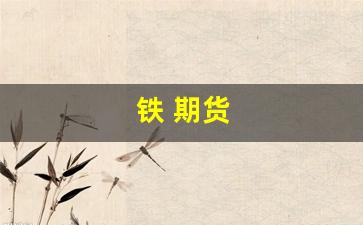 铁 期货(铁期货代码是多少)_https://www.xzdzcjx.com_北交所_第1张